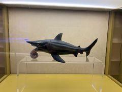 -上海中国航海博物馆