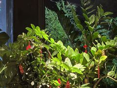 -东湖34号餐厅·湖北菜