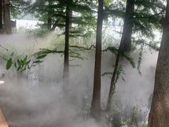 -东湖落雁景区