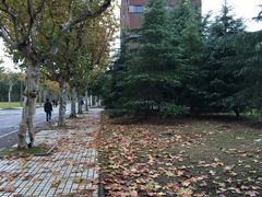 -同济大学(嘉定校区)