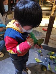 -酷嗒动物文化乐园(cutezoo西溪乐天城店)