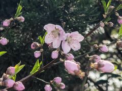 -江南大学(蠡湖校区)