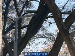 -莲湖公园