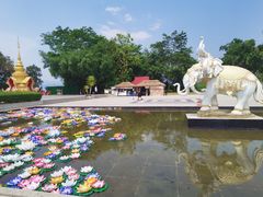 -西双版纳勐泐文化旅游区