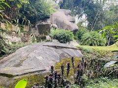 -西双版纳基诺山寨