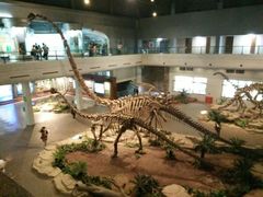 -自贡恐龙博物馆