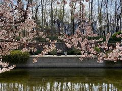 -海棠花溪(元大都城垣遗址公园)