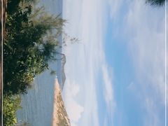 -广东惠东海龟国家级自然保护区
