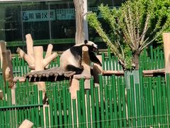 -沈阳森林动物园