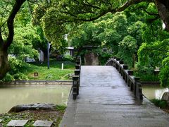 -江心屿景区