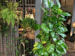 -肴约·花园式餐厅(湖里店)