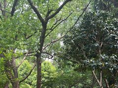 -东明山森林公园