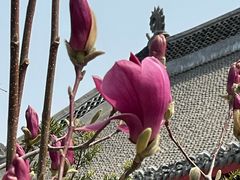 -慈恩寺