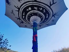 -西双版纳原始森林公园