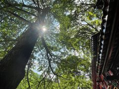 -青城山