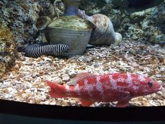 -福州罗源湾海洋世界旅游区