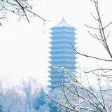 燕园初雪，还有你。