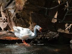 -兰亭风景区