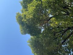 -杭州西湖风景名胜区-满觉陇四眼井