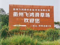 -衢州飞鸿滑草场