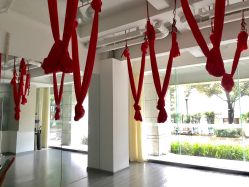 -榕树上·瑜伽普拉提