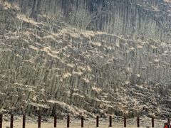 -六合国家地质公园桂子山景区