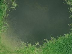 -高子水居