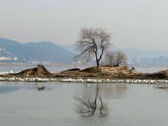 -东山风景区(洞庭东山)