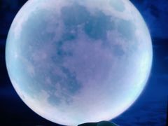-天津梵高星空艺术馆(天河城旗舰店)