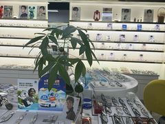 -视野联行眼镜蔡司·依视路官方授权店(顺城店)