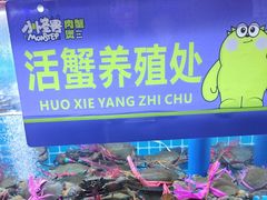 -徐记小怪兽肉蟹煲店(哈西万达金街店)