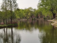 -石家庄市植物园