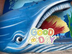 -海合安武汉极地海洋公园