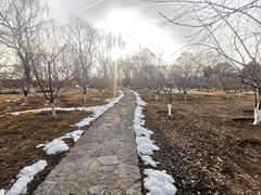 -济南植物园