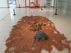 -四川美术学院美术馆