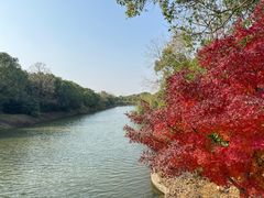 -上海海湾国家森林公园