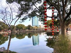 -无锡蠡湖国家湿地公园-蠡园