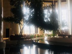 -新都绿城喜来登酒店大堂吧