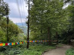 -东天目山风景区