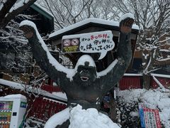 -宫城藏王狐狸村