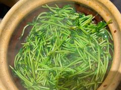 -廖川菜(太阳宫店)