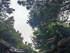 -红螺寺