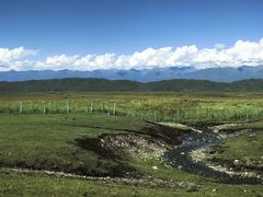 -新疆那拉提国家旅游度假区