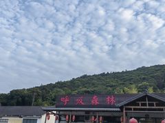 -呼吸森林·生态农庄农家乐私房菜