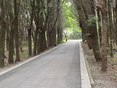 -同里国家湿地公园