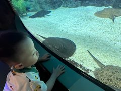 -福州罗源湾海洋世界旅游区