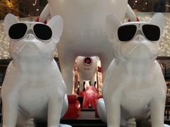 -老广州牛杂(深圳白石洲总店)