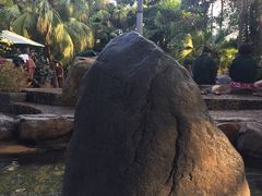 -厦门日月谷温泉渡假村