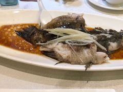-梅龙镇酒家(南京西路总店)