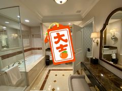 -澳门威尼斯人综合度假区